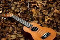 Welcome to Uke Group North