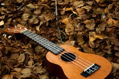 Welcome to Uke Group North