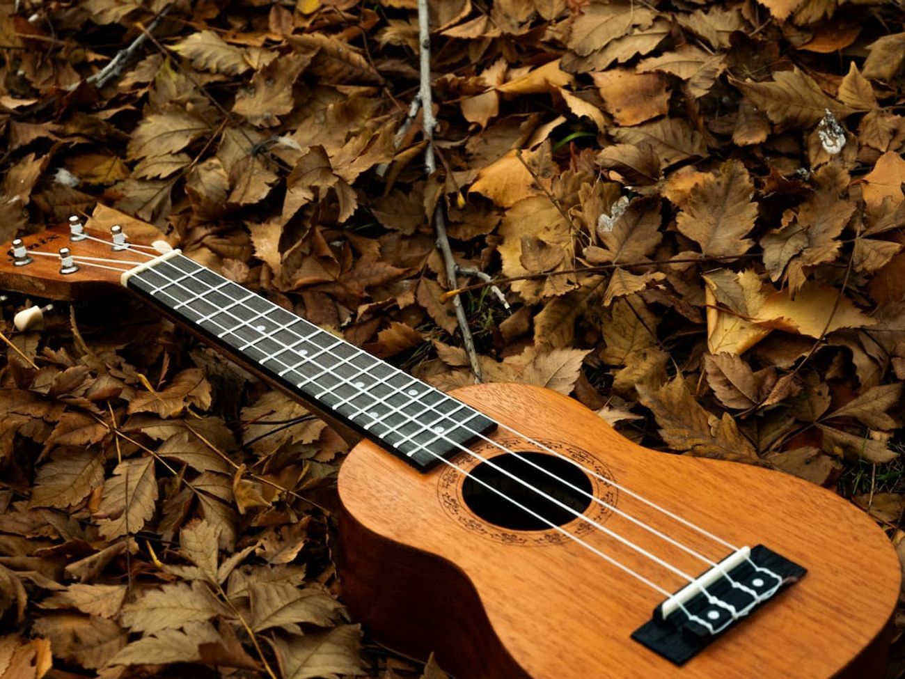 Welcome to Uke Group North