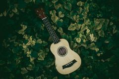 Tuesdays at Ramsbottom Library